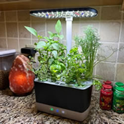 Aerogarden Indoor Hydroponic Gardening System